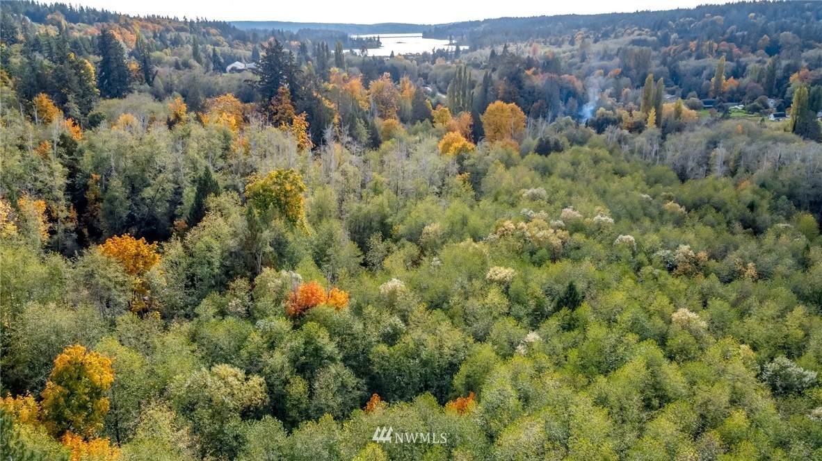 13863 Maple Road - Photo 1