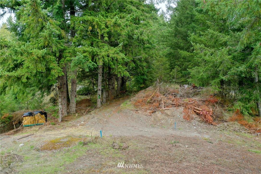 12504 Crescent Valley Drive - Photo 1