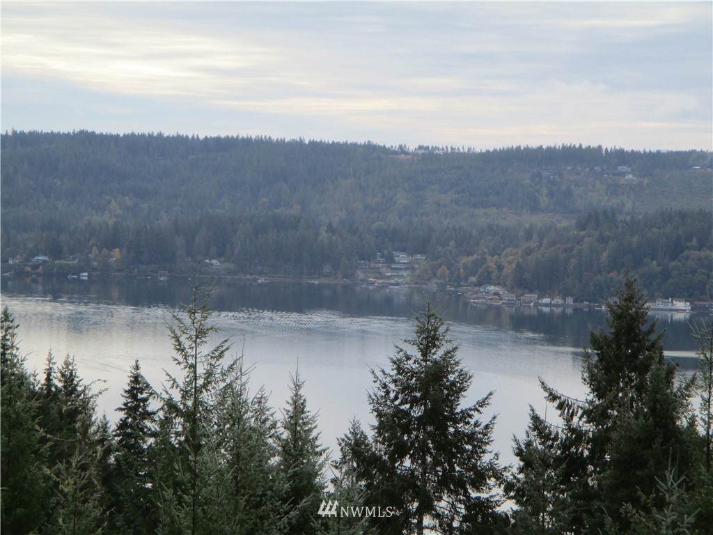 1006 Patton Drive - Photo 1