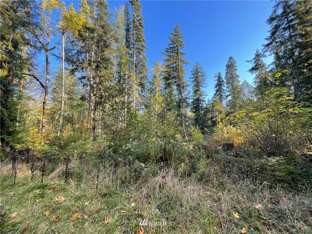 453 Rice Lake Road - Photo 1