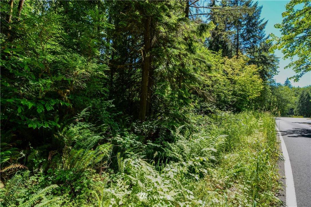 238 XX Old Woodinville Duvall Road - Photo 1