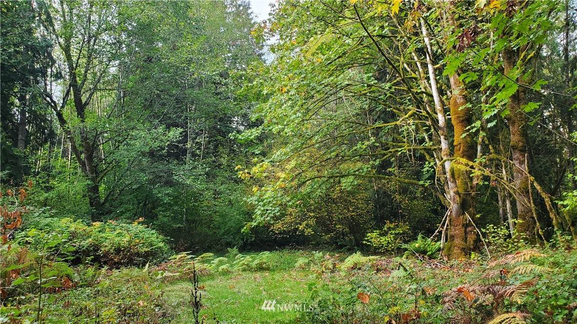 143 Clark Road - Photo 1