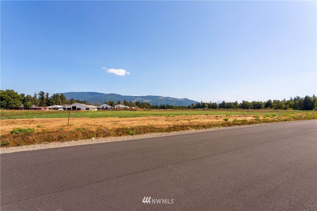 2469 River Rock Drive - Photo 1