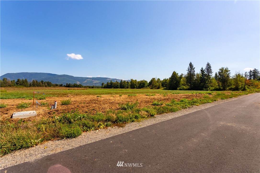 2487 River Rock Drive - Photo 1