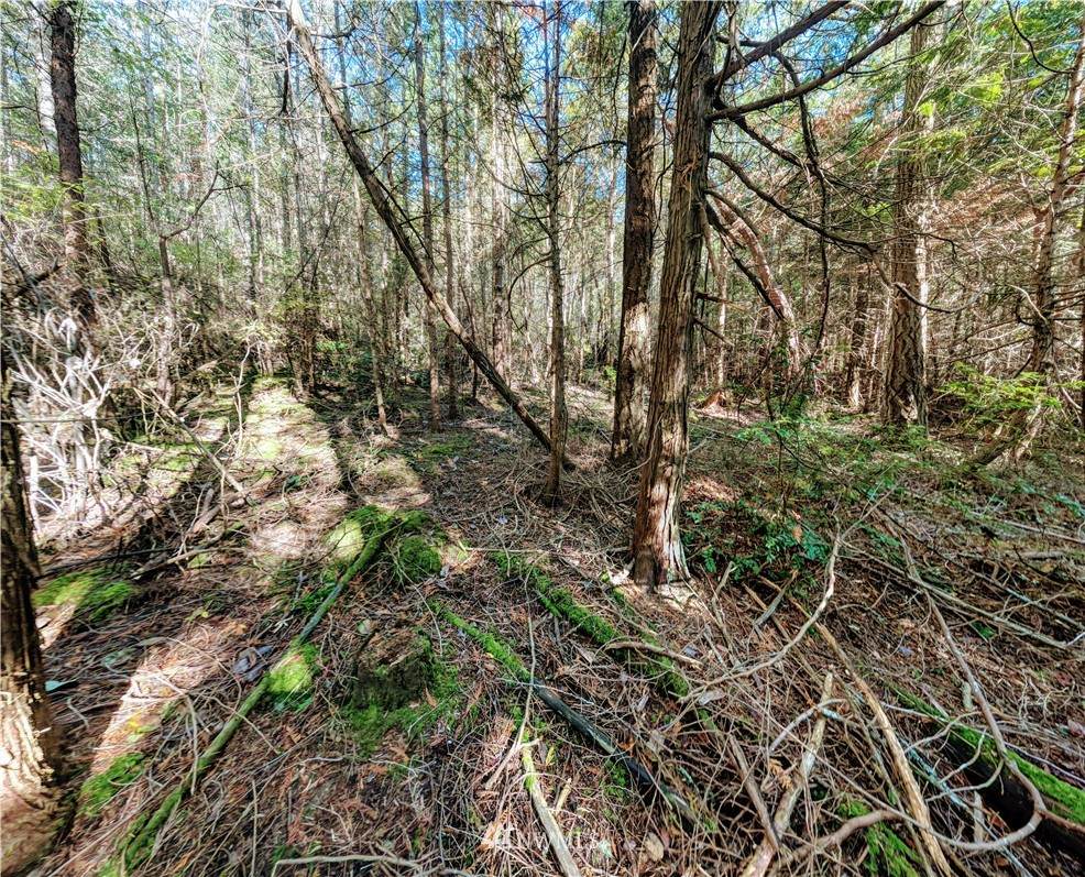 99999 41st Street - Photo 1