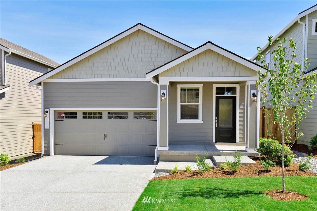 4524 Sand Dollar Street - Photo 1