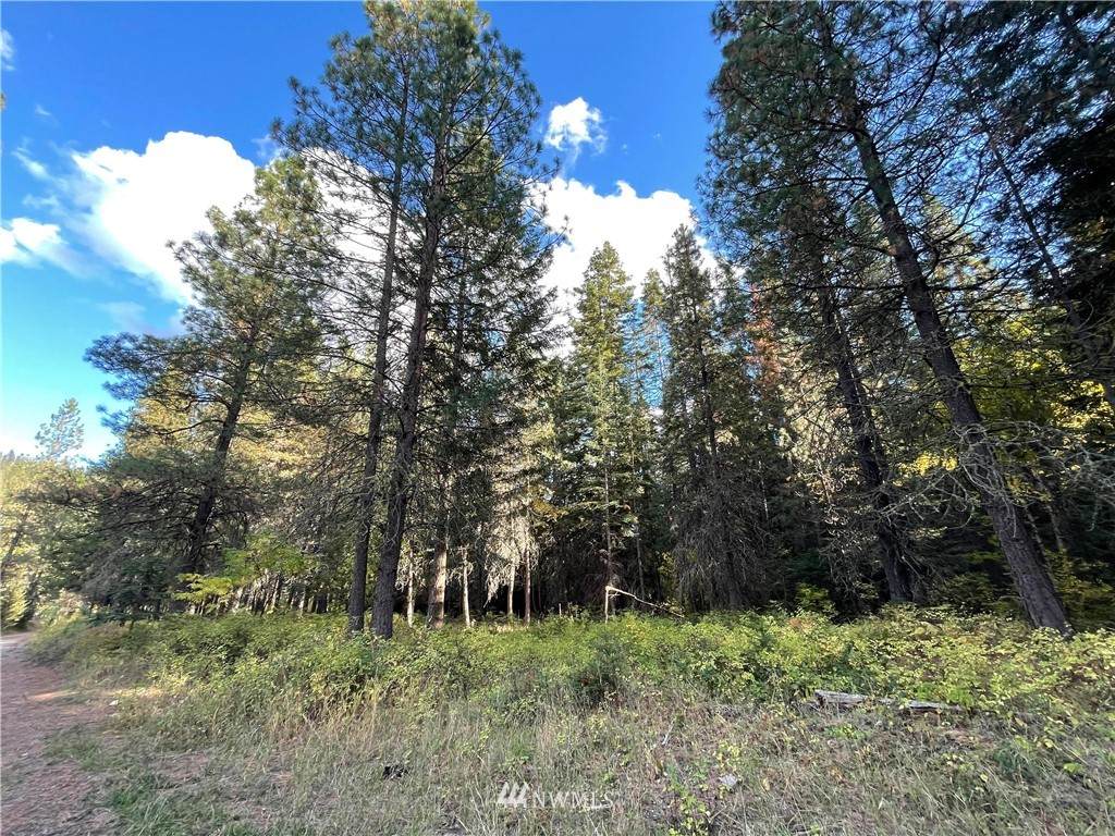 486 Wilmont Creek Rd - Photo 1