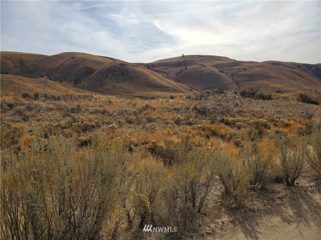 0 NNA Spring Canyon Road - Photo 1