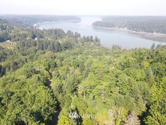 2625 Stonecrest Lane - Photo 1