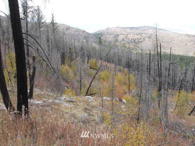 0 Tbd Evan's Ranch Road - Photo 1