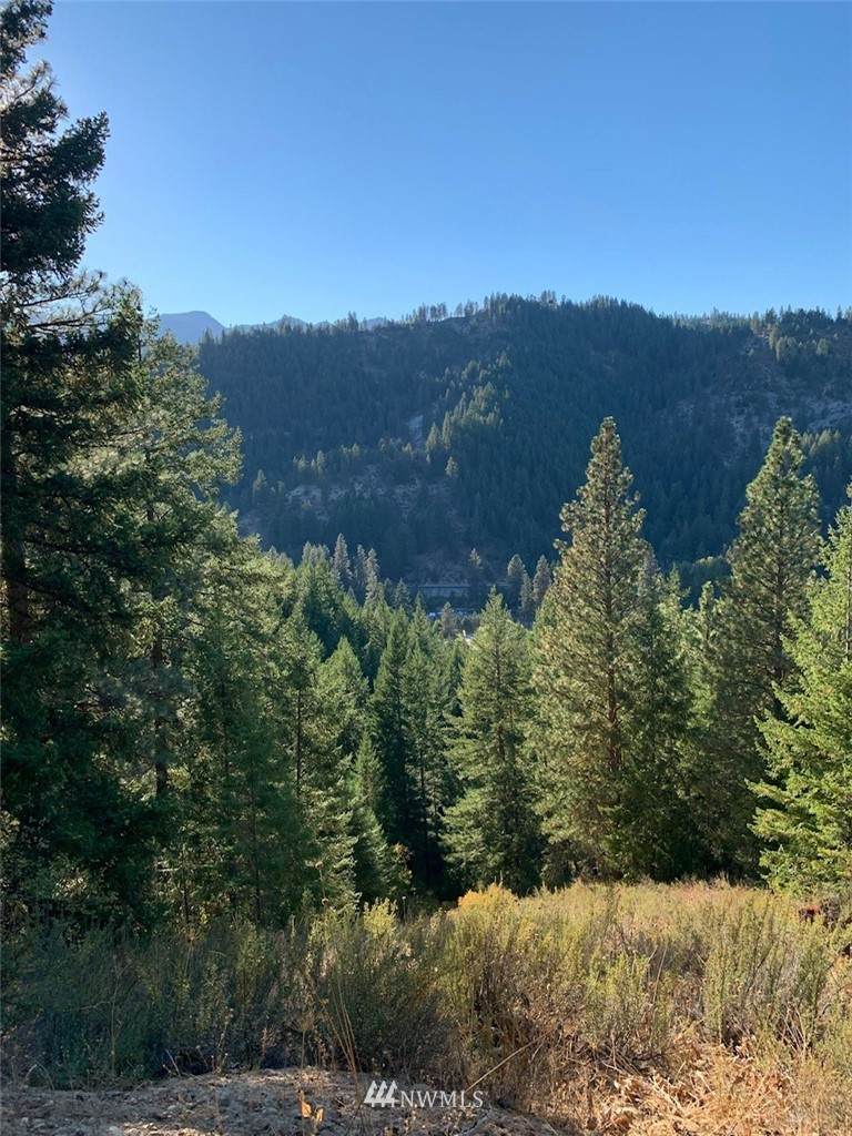 0 X Timber Ridge Canyon Road - Photo 1