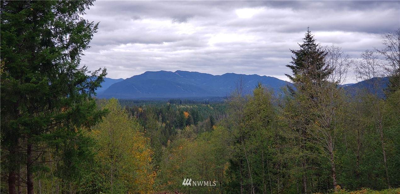 261 XX Landsburg Road - Photo 1