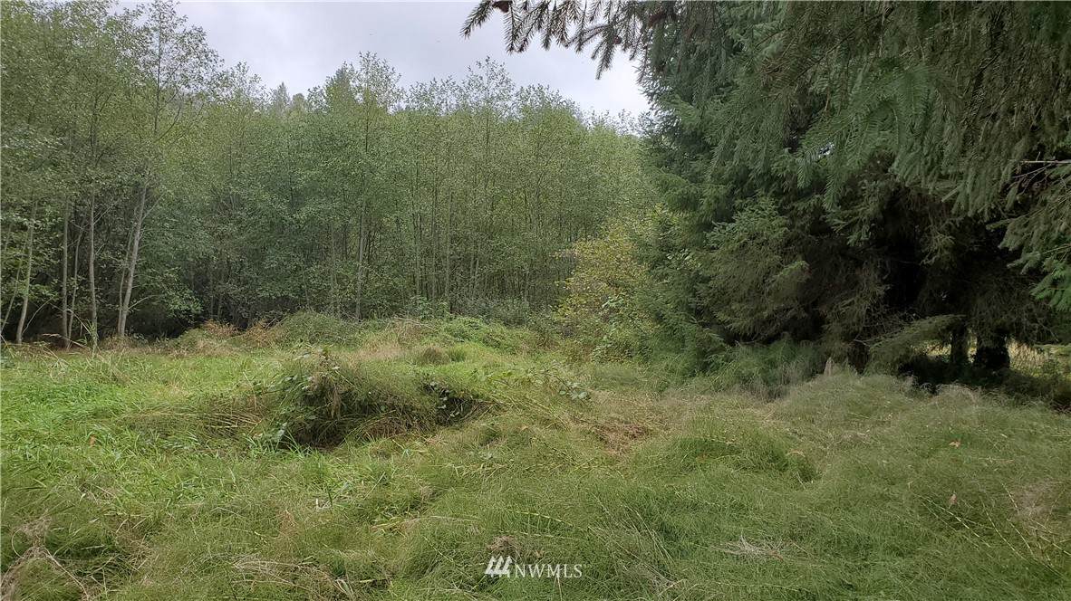 0 Cowlitz Street - Photo 1