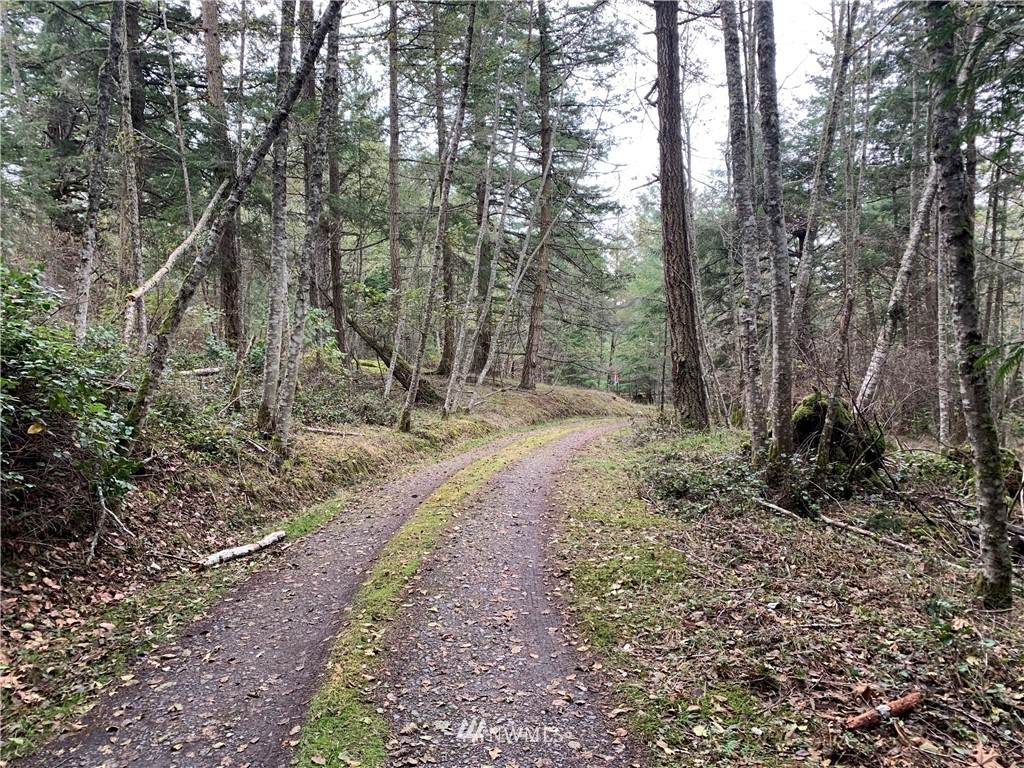 0 Markov's Lane - Photo 1