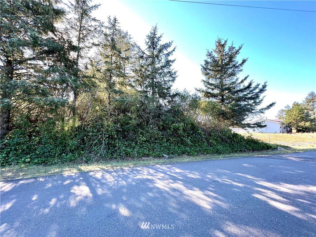 113 Wynoochee Drive - Photo 1