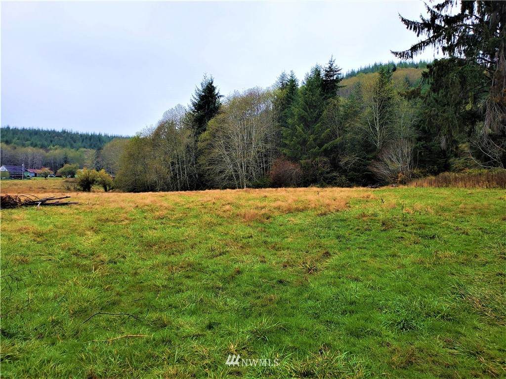 0 xxx Black Creek Road - Photo 1