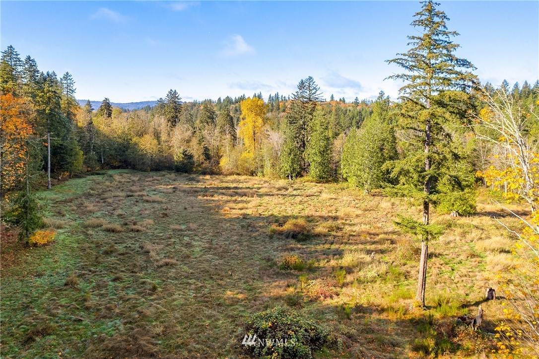 25520 Old Black Nugget Road - Photo 1