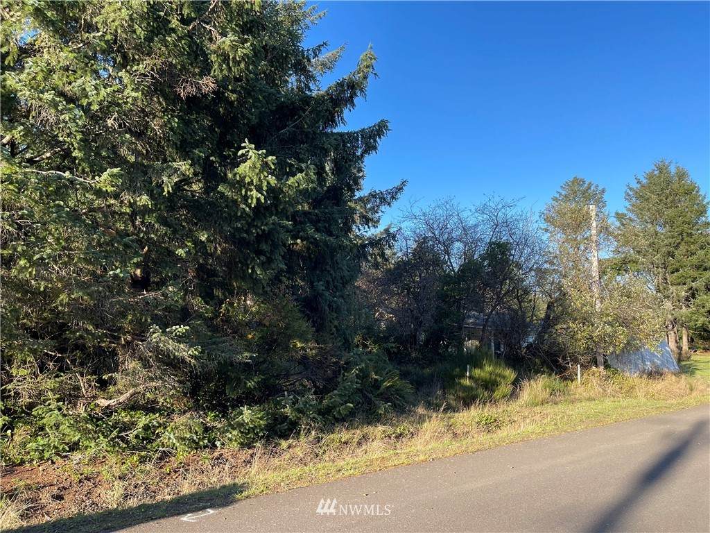 144 Tahola Street - Photo 1