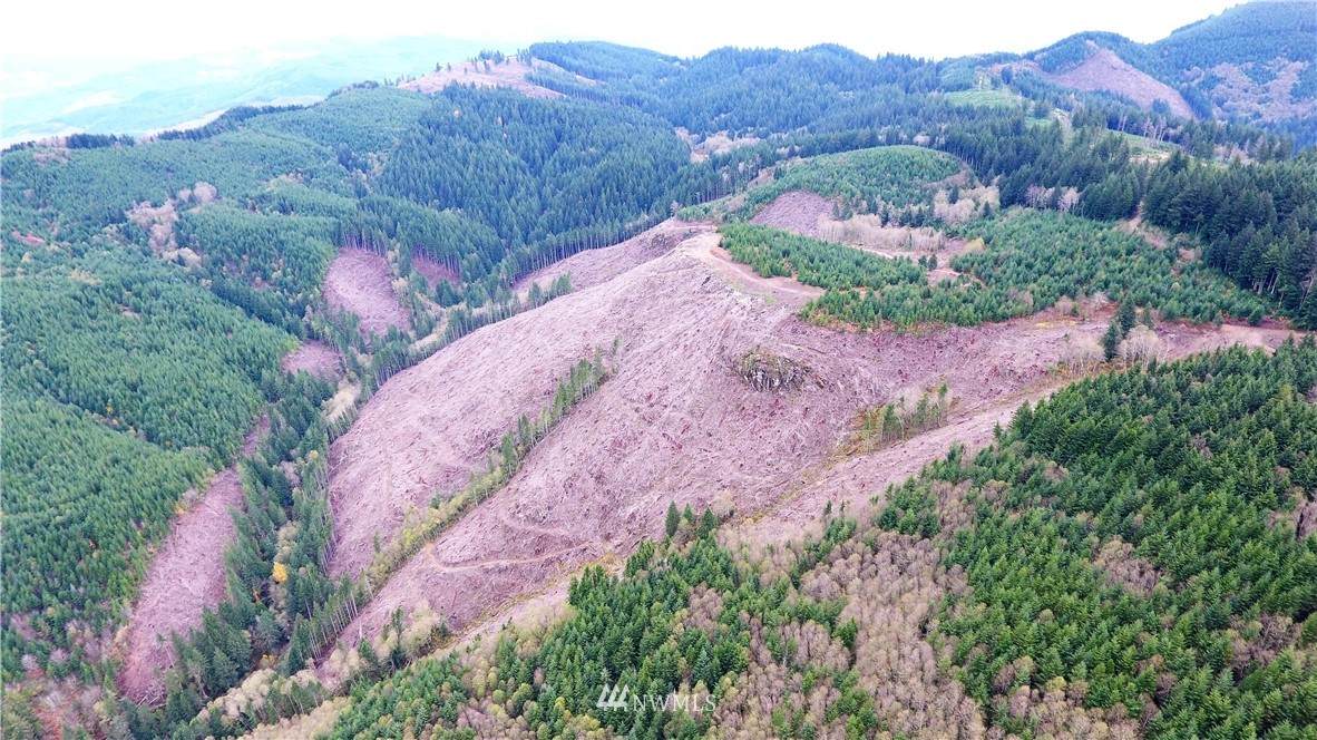 0 Aho Carson/ Davis Peak Road - Photo 1