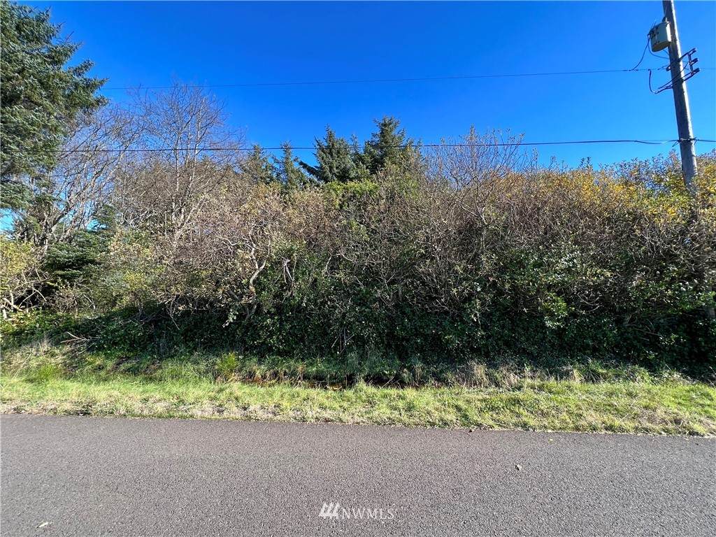 474 Volans Avenue - Photo 1