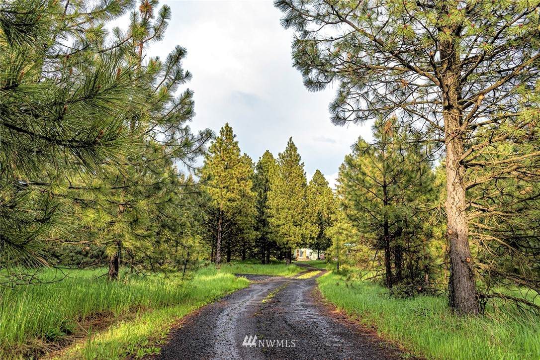 8055 Lewis Peak Road - Photo 1
