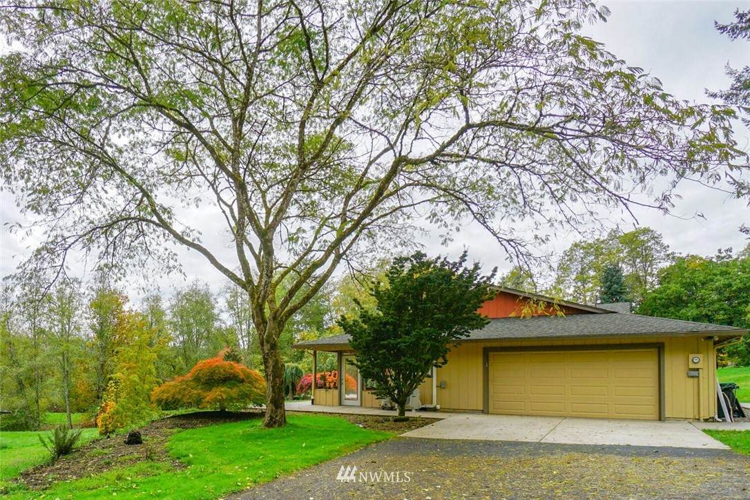 4915 Lewis River Street - Photo 1