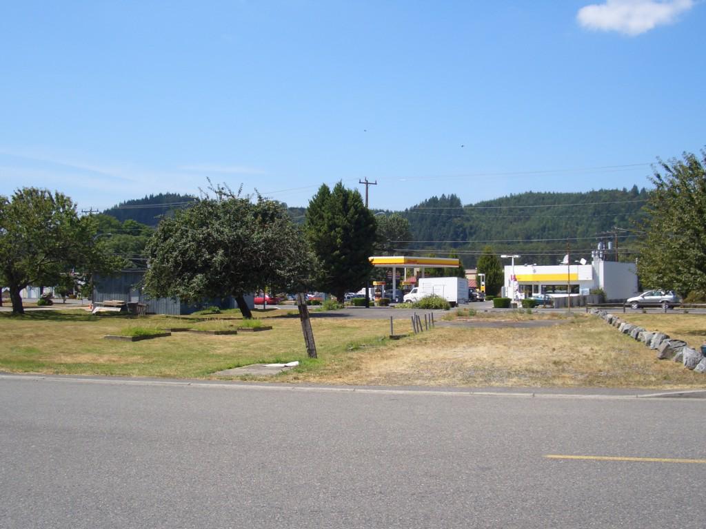 4332 Tolt Ave - Photo 1