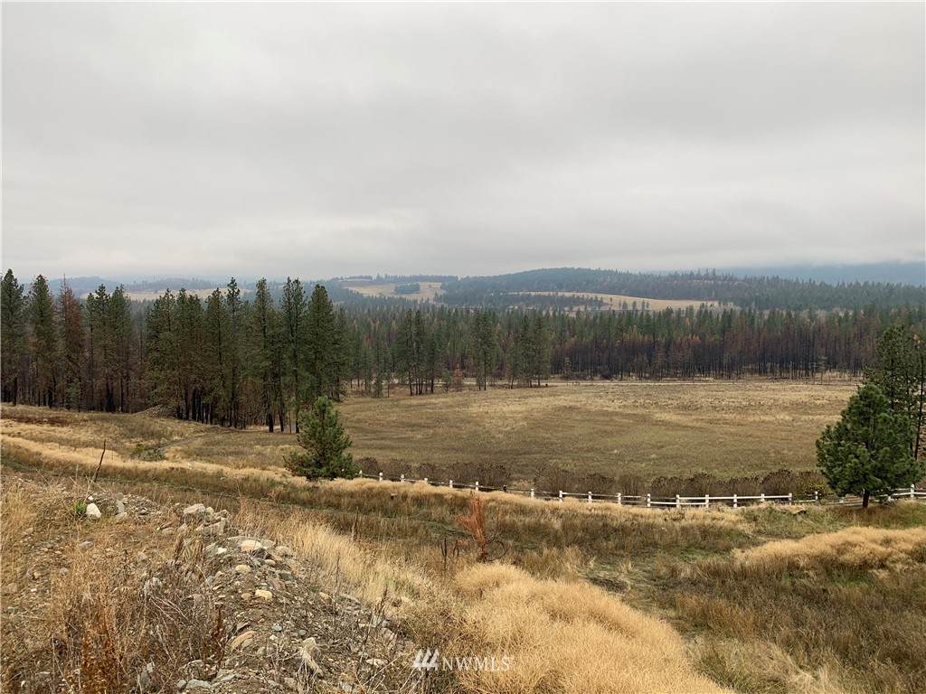 3077 Hall Creek Road - Photo 1