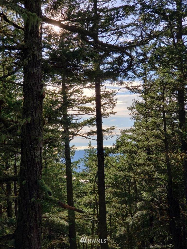 0 47 Buck Mountain Road - Photo 1