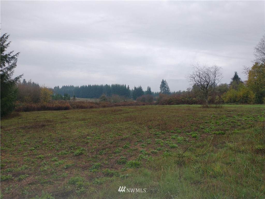213 Nelson Road - Photo 1