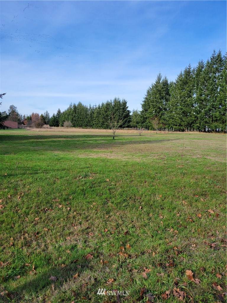 17607 Mima Acres Drive - Photo 1