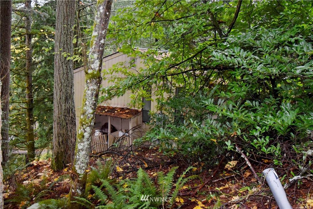 19 Clematis Lane - Photo 1
