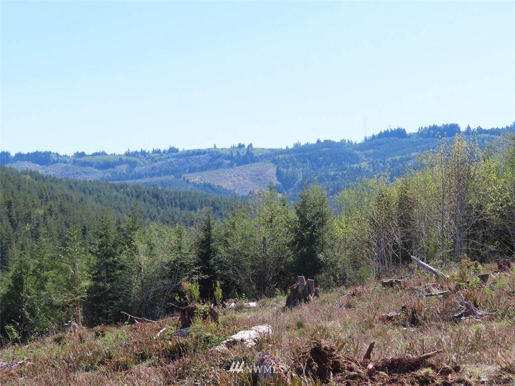 0 Lot 8 Stewart Drive - Photo 1