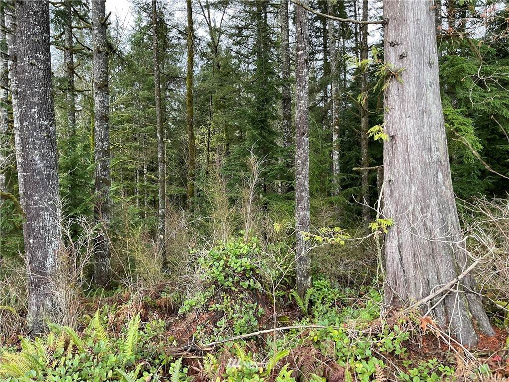 66 XA Woods Creek Road - Photo 1