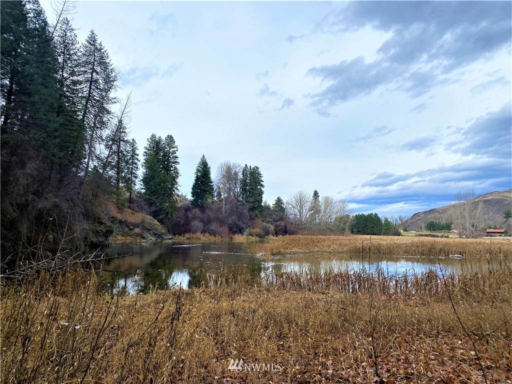 923 Twisp Carlton Road - Photo 1