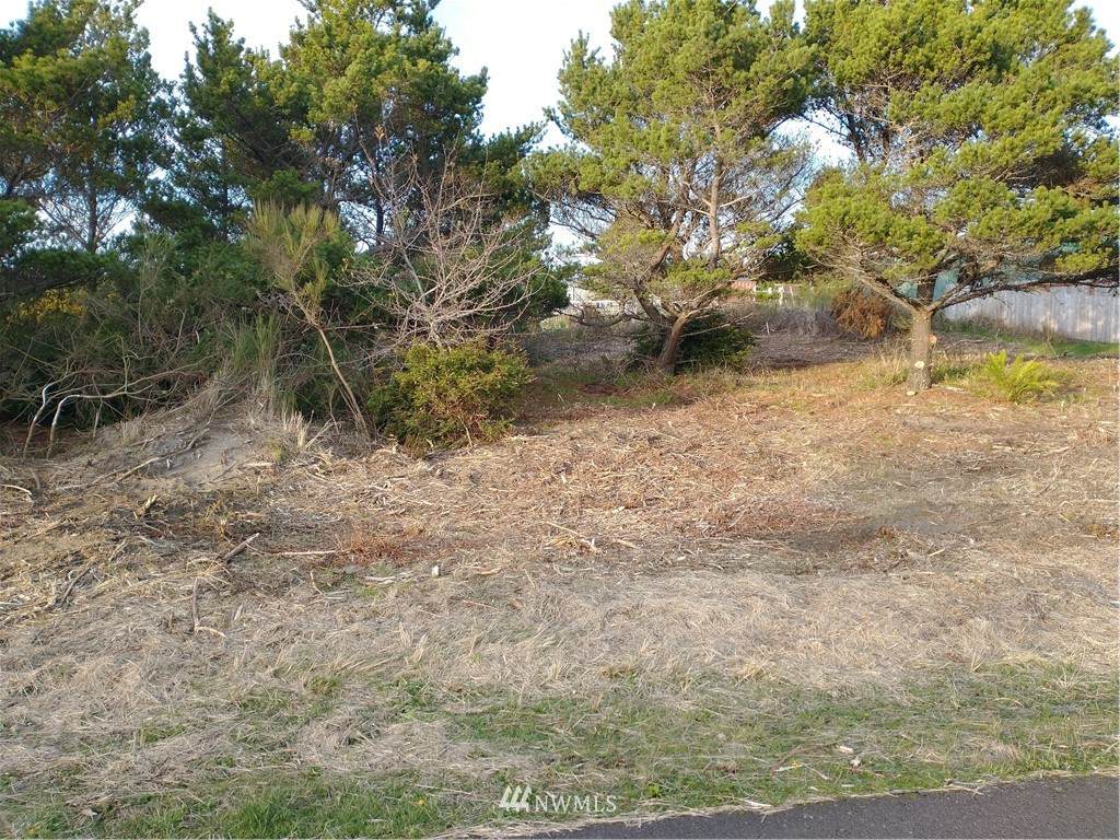 0 Francis Seamore Lane - Photo 1