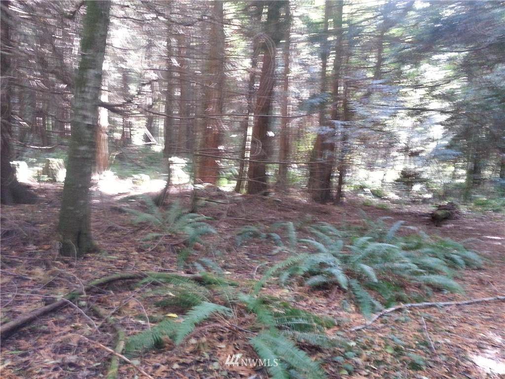0 74th Avenue - Photo 1