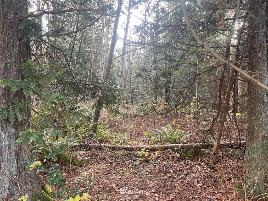 4210 West Road - Photo 1