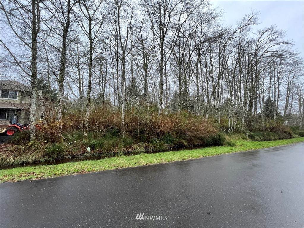 331 Olympic View Avenue - Photo 1