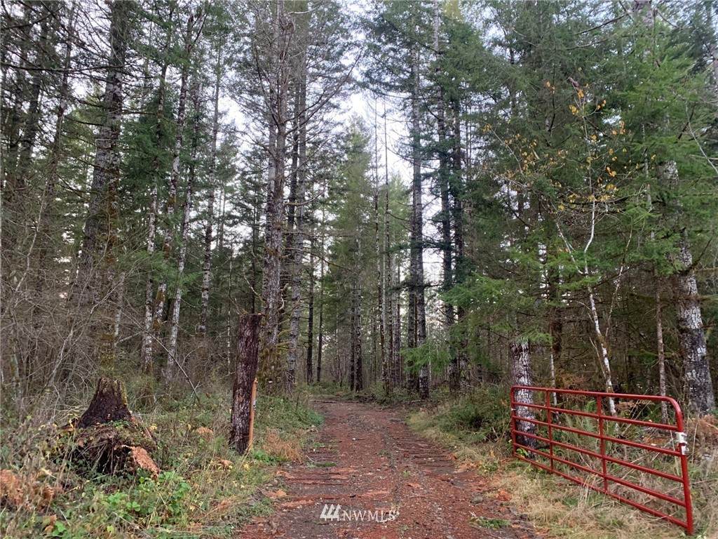 0 Ford Loop Road - Photo 1