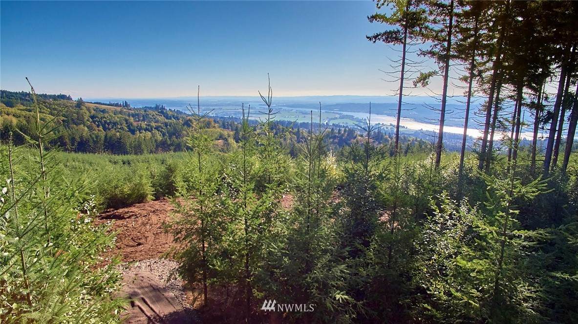 3109 Green Mountain Road - Photo 1