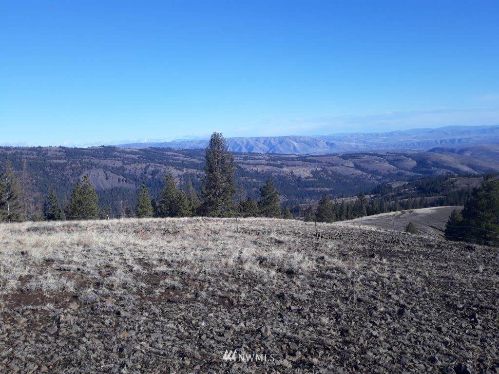 0 Nasty Creek Road - Photo 1