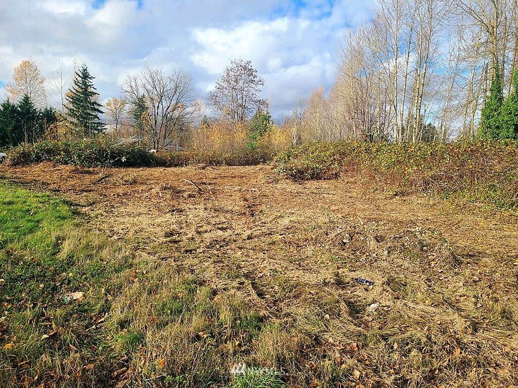 24519 Sumner Buckley Highway - Photo 1