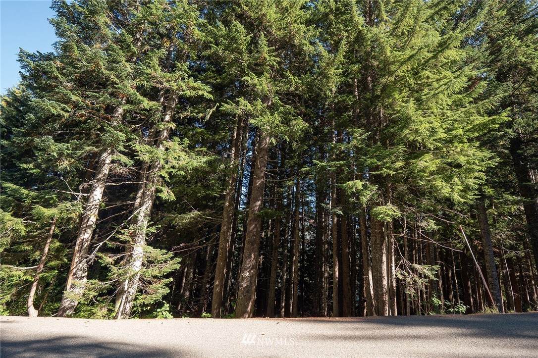 48 X Snoqualmie Drive - Photo 1