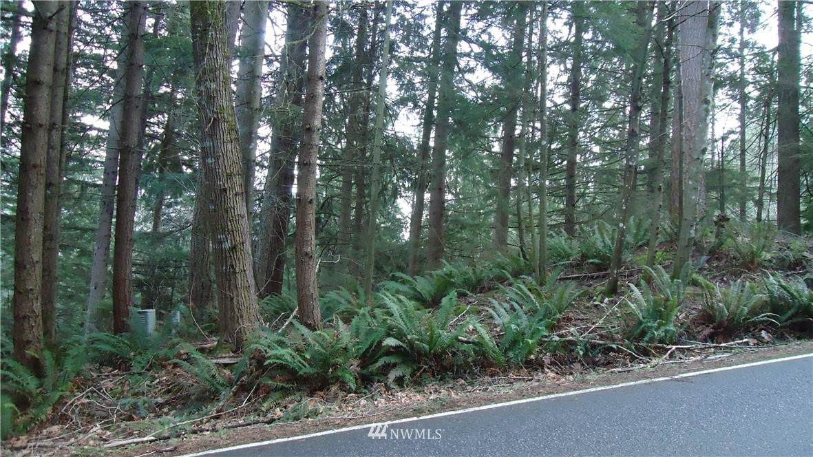 64 Louise View Drive - Photo 1