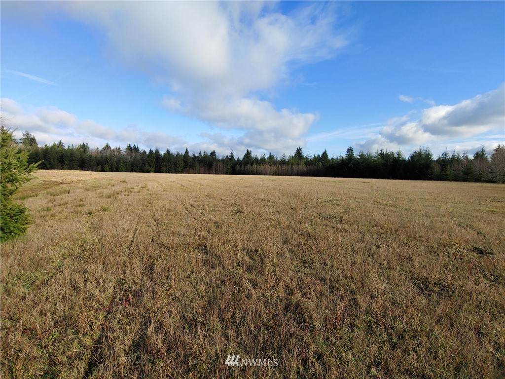 0 Wynooche Wishkah Road - Photo 1