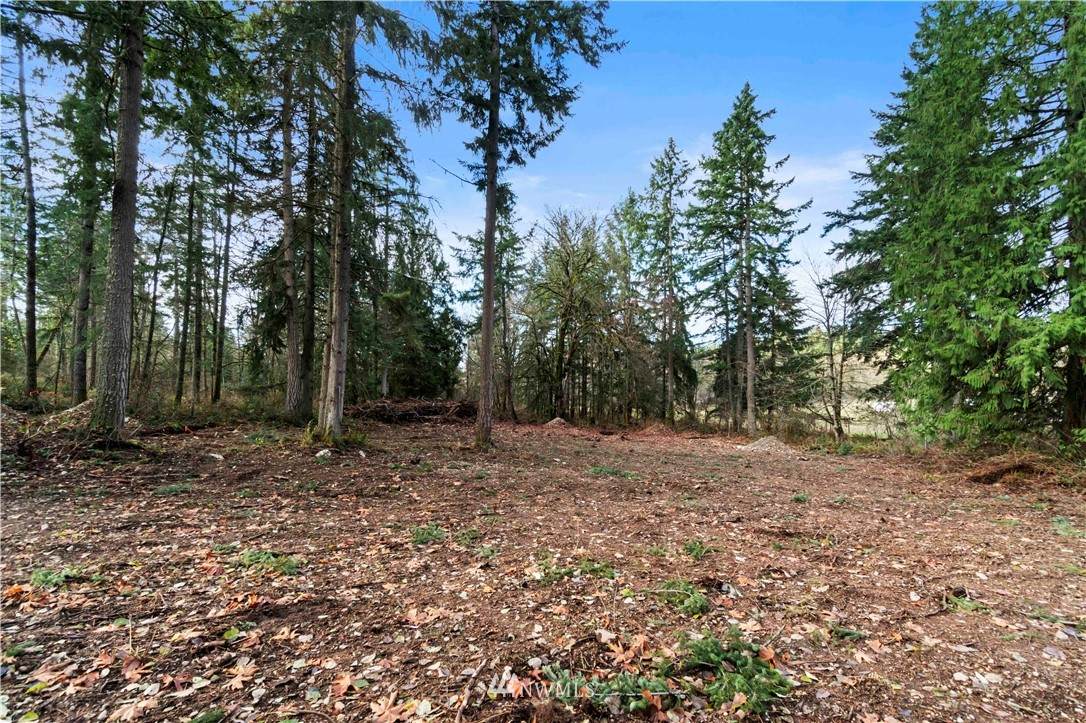 22004 146th Avenue - Photo 1