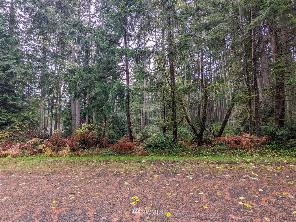 11412 Admiralty Way - Photo 1