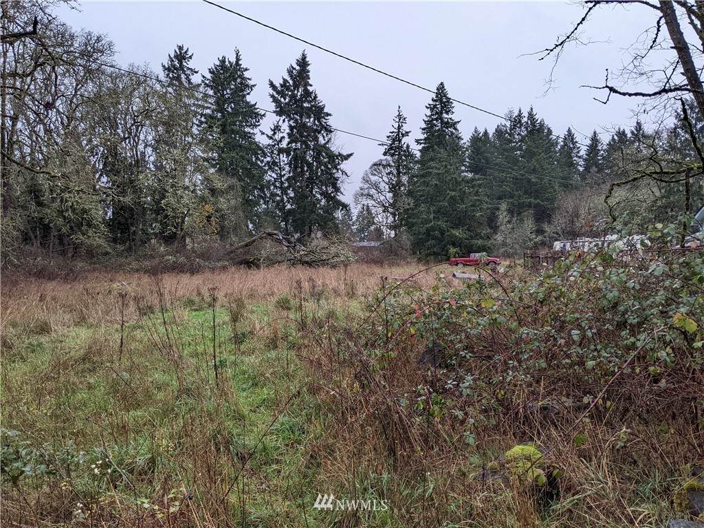 7630 Steilacoom Road - Photo 1