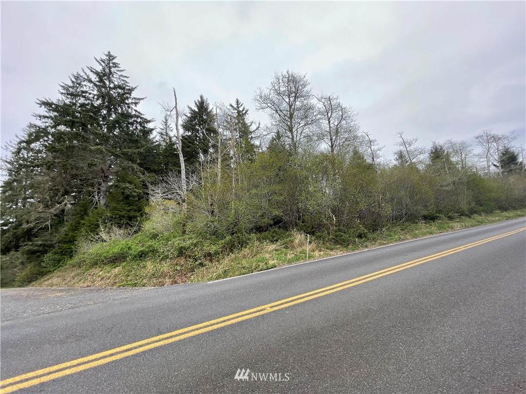 0 Bay Center Road - Photo 1